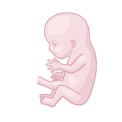 Baby ein, das auf seinem bauch sitzt.